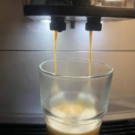 Vibe Loft Free Drink Daily By Zazi *