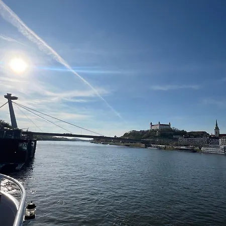 Vibe Loft Free Drink Daily By Zazi