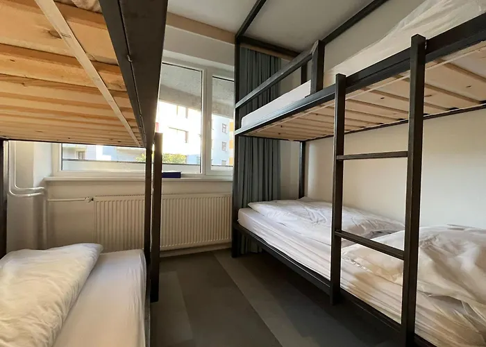 Vibe Loft Free Drink Daily By Zazi Auberge de jeunesse