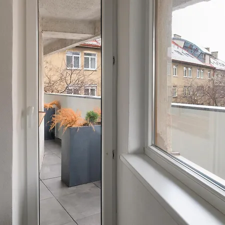 Vibe Loft Free Drink Daily By Zazi