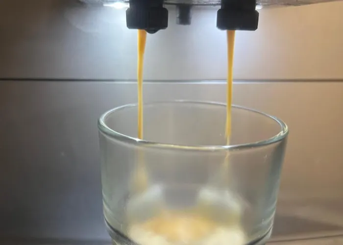 Vibe Loft Free Drink Daily By Zazi *