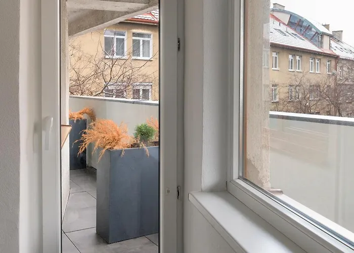 Vibe Loft Free Drink Daily By Zazi