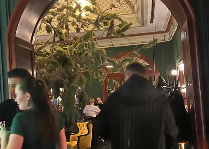 Vibe Loft Free Drink Daily By Zazi *