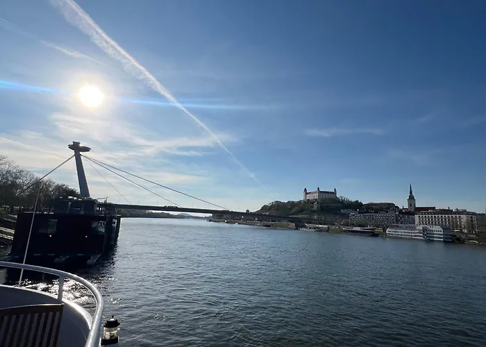 Vibe Loft Free Drink Daily By Zazi